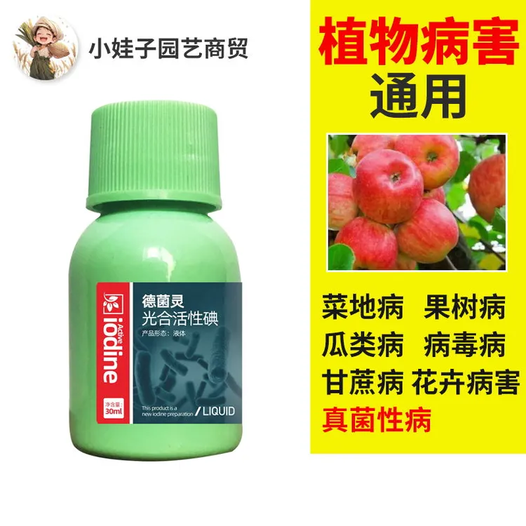 月季病龙眼病苹果病甘蔗病蔬菜病兰花病菊花病柑橘病瓜类叶面肥