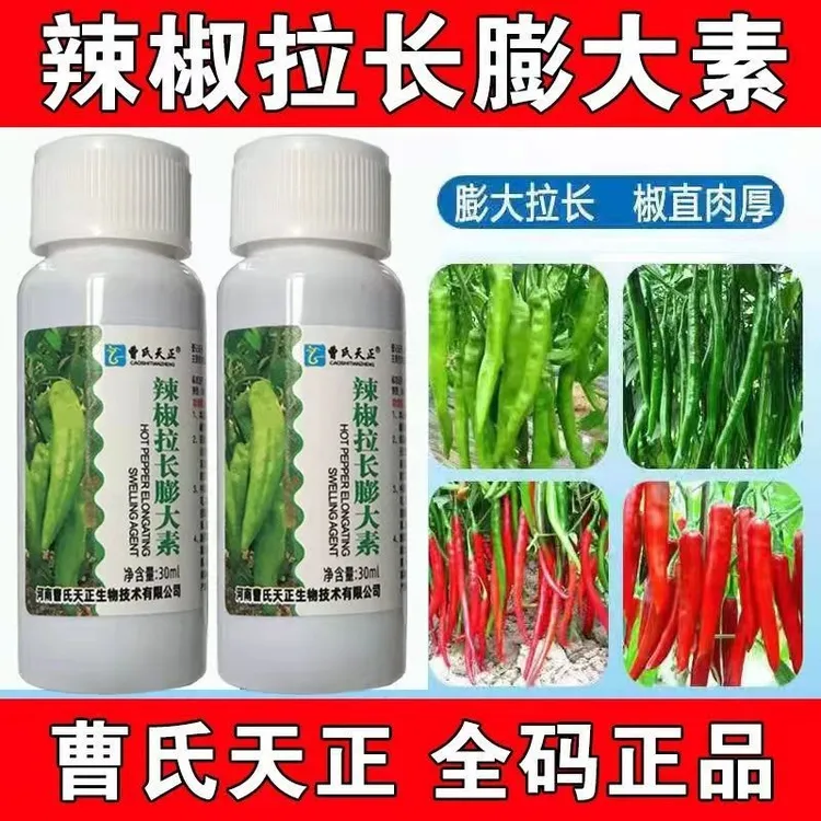 曹氏天正辣椒拉长膨大素提高授粉座果率膨果拉直促进早熟提高产量