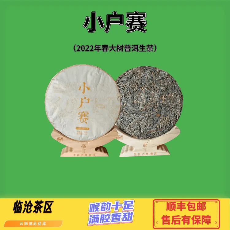 小户赛（2022年春大树普洱生茶）条索粗壮柔软舒缓杏黄透亮满腔香甜