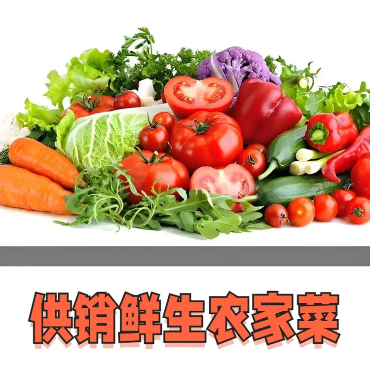 农家菜红菜苔上海青冬苋菜红薯冬南瓜雪里红白萝卜等混装 约6斤