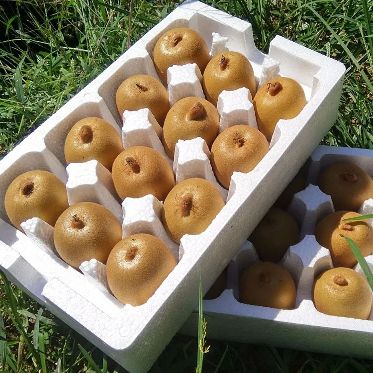 四川蒲江黄心金奇异果产地直发香甜多汁当季现摘坏果包赔水果生鲜