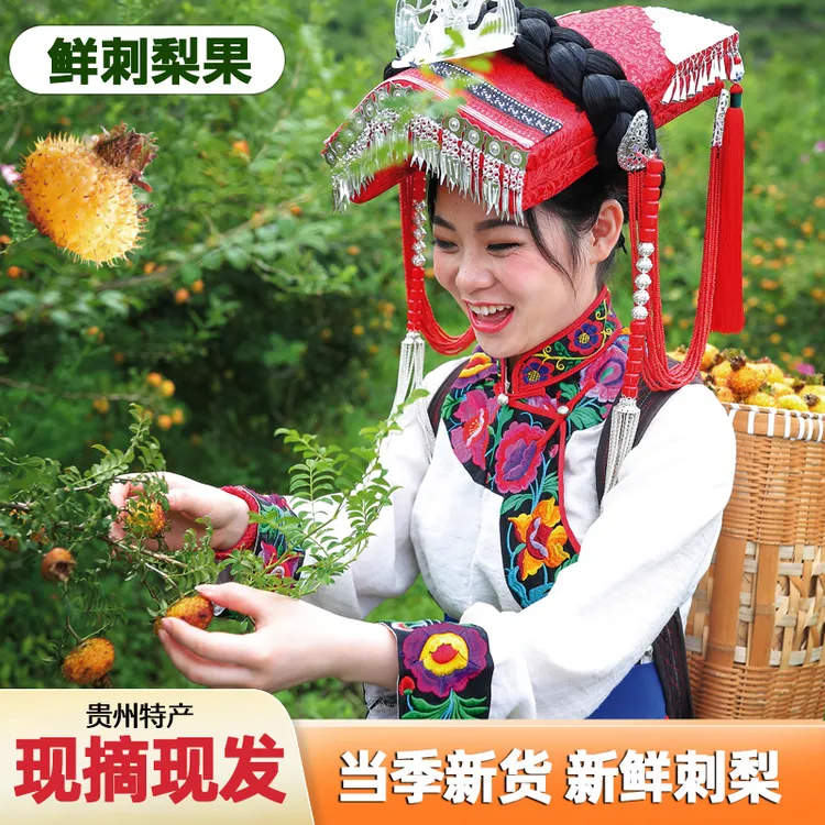 刺梨鲜果（来自贵州大山深处大自然的馈赠）