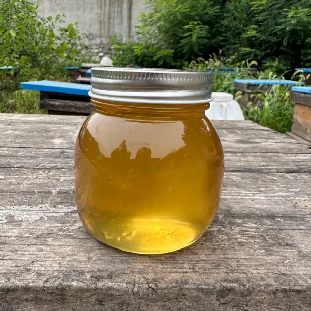 长白山野生液态椴树蜜500g（买二送一）