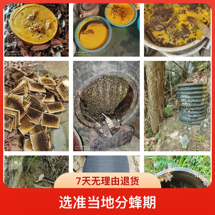 天然中蜂蜡野外诱蜂专用招蜂神器