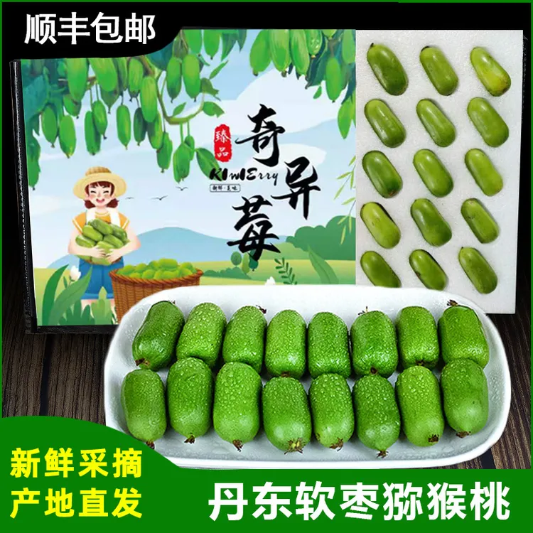 丹东特产软枣猕猴桃顺丰包邮龙城2号软枣奇异莓