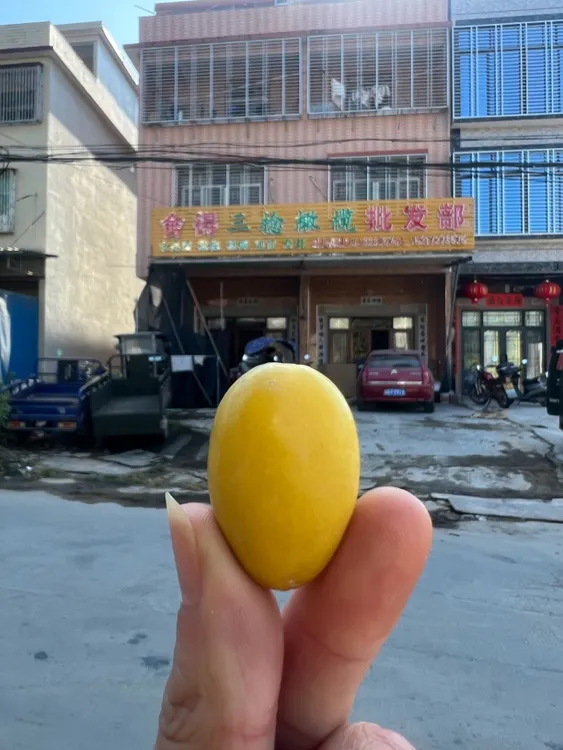 灿彪金灶百年老树 三捻橄榄 正宗金灶本地 入口甘香一斤礼盒装