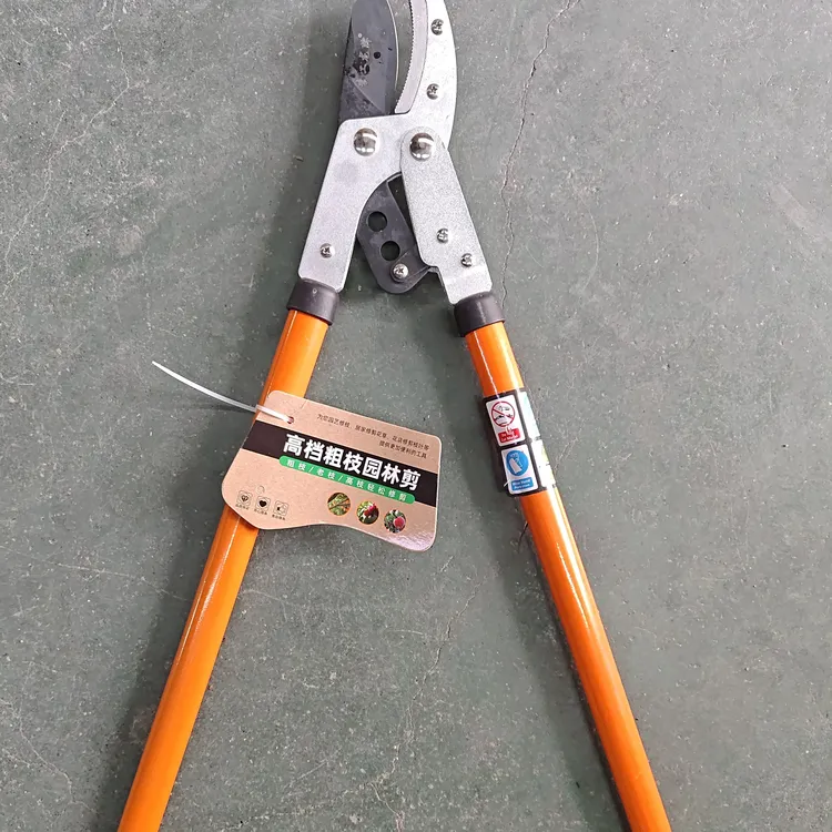 钢把进口粗枝剪高枝剪园艺果树修剪加长大力剪刀果剪剪子高空剪枝