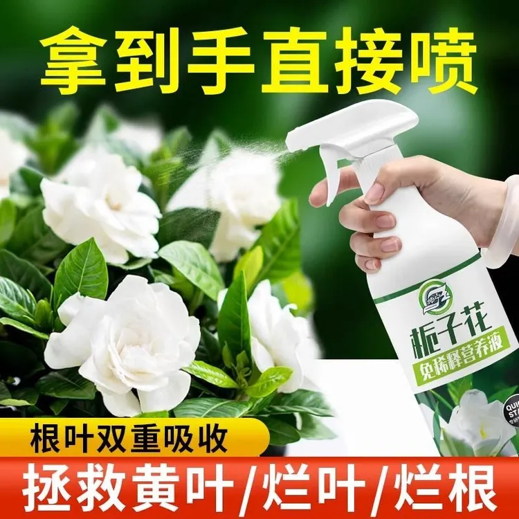 免稀释栀子花专用营养液肥料家用开花植物养花专用绿植盆栽通用型
