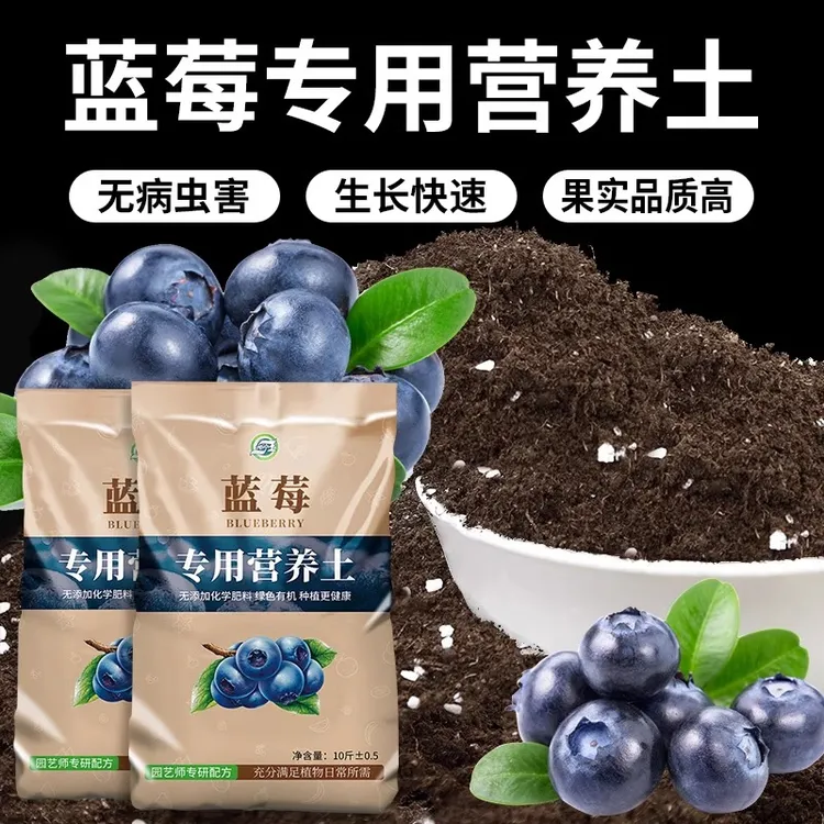 蓝莓专用营养土促进开花挂果透气养殖吸水蓝莓种植好帮手养花