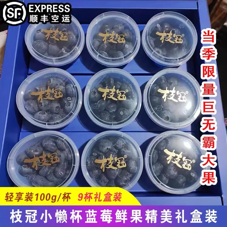 现货枝冠蓝莓小懒杯蓝莓鲜果9杯礼盒脆甜超能杯新鲜孕妇水果顺丰