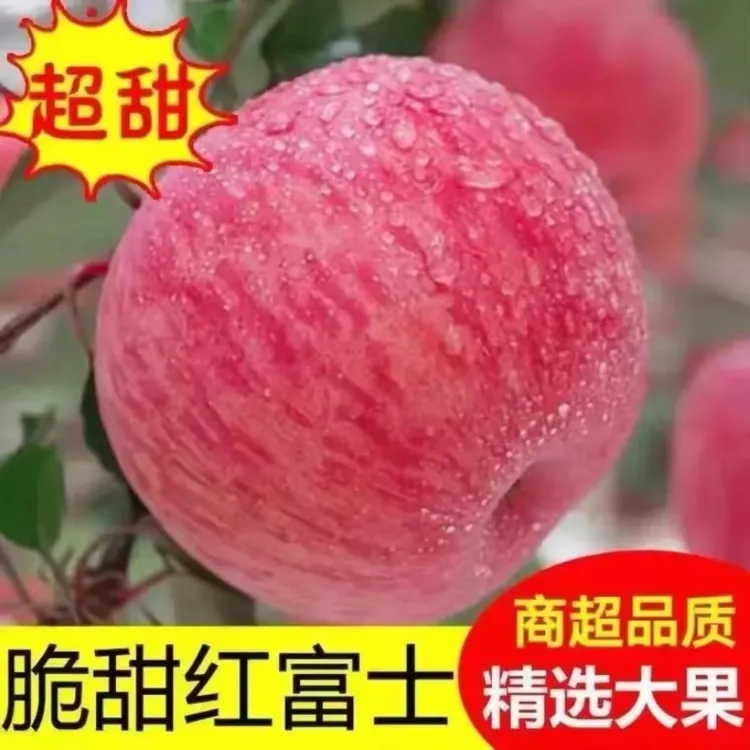 陕西武帝山下脆甜多汁 红富士 80以上苹果净果9斤（精品大果）