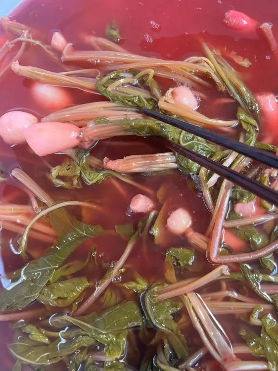 贵州贵州特产萝卜菜酸菜新鲜萝卜菜叶子萝卜缨子正宗无盐酸菜豆米