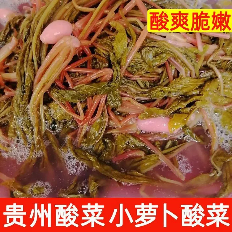 贵州特产正宗无盐萝卜菜酸菜萝卜苗新鲜酸菜保鲜发货