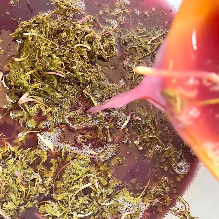 贵州农家野芹菜无添加野生水芹菜新鲜酸菜手工细叶芹无盐酸菜开胃