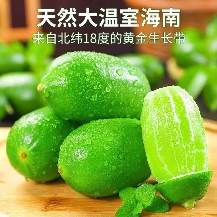 香水柠檬新鲜一级精选海南香水青柠檬小青拧子弹头无籽柠檬包邮