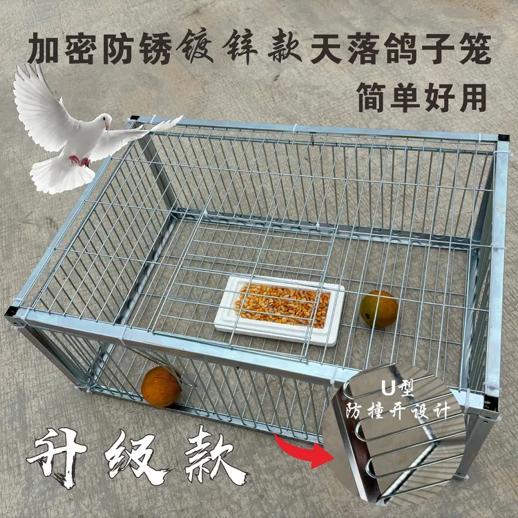 新款天落笼加密只进不出鸽子笼自动收鸽笼撞门笼鸽子笼鸽子防锈
