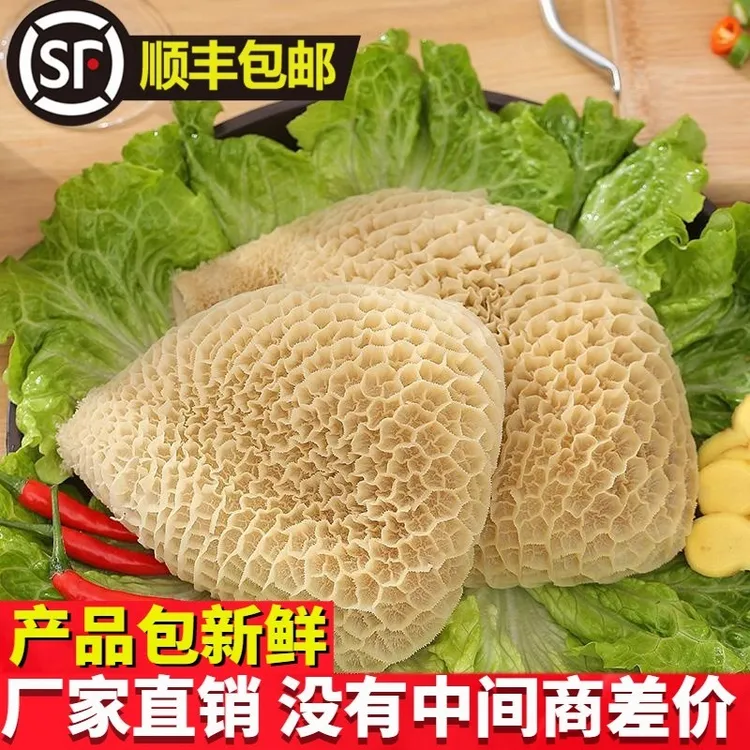 【当天新宰】新鲜金钱牛肚去油5分熟火锅千层肚蜂窝肚爆炒净重4斤