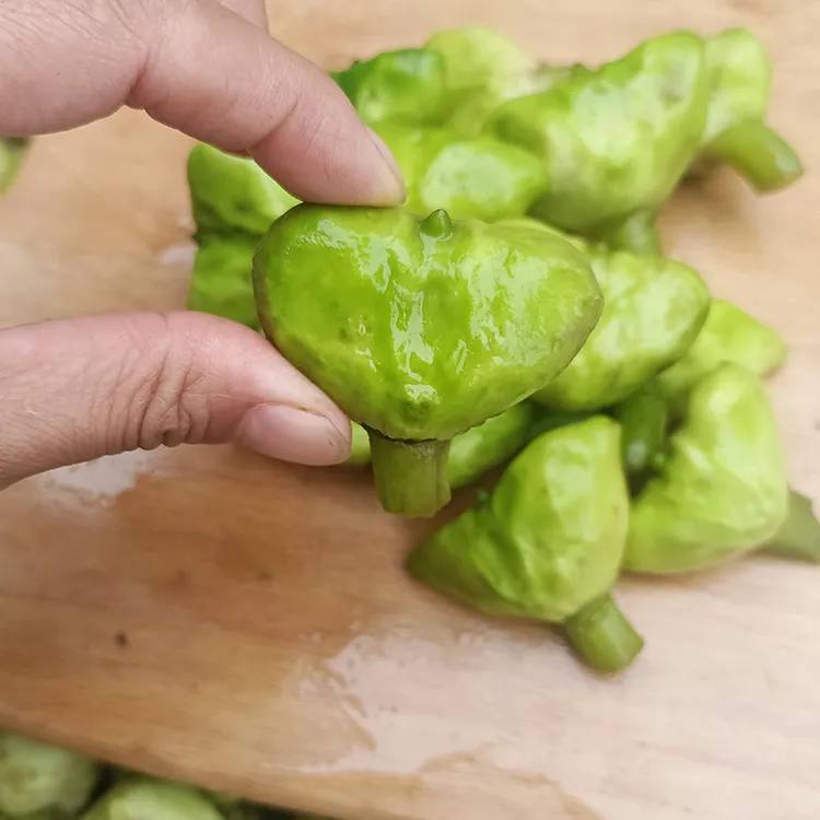 浙江嘉兴特产南湖菱无角元宝菱绿菱生吃脆甜即食新鲜老菱角2斤4斤