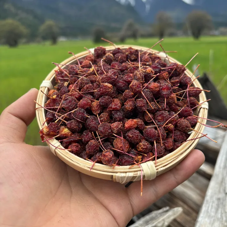西藏高海拔下山货西洋参山 楂干