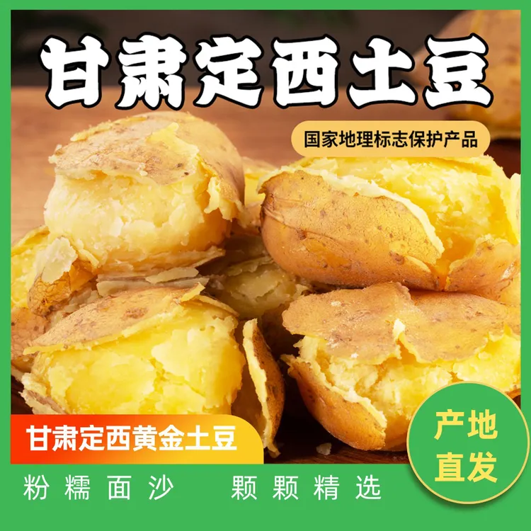 【定西土豆】甘肃定西新鲜黄皮黄心沙面土豆马铃薯大果洋芋黄心土豆