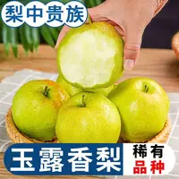 【果园直发】正宗山西头茬玉露香梨应季新鲜水果皮薄无渣爽口多汁