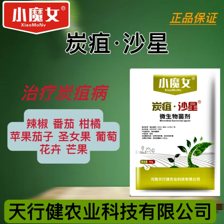 小魔女炭疽病特效微生物菌剂辣椒柑橘芒果葡萄苹果均可使用