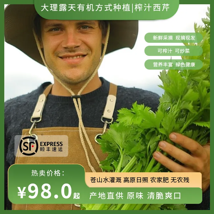 瑞典奶爸在大理｜有机方式种植西芹榨汁生吃沙拉榨汁蔬菜新鲜5斤