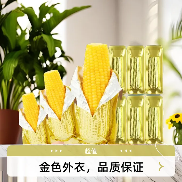 【8～10】东北黑土地黄糯玉米拉丝玉米微甜粘糯铝箔锁鲜均重260～300g