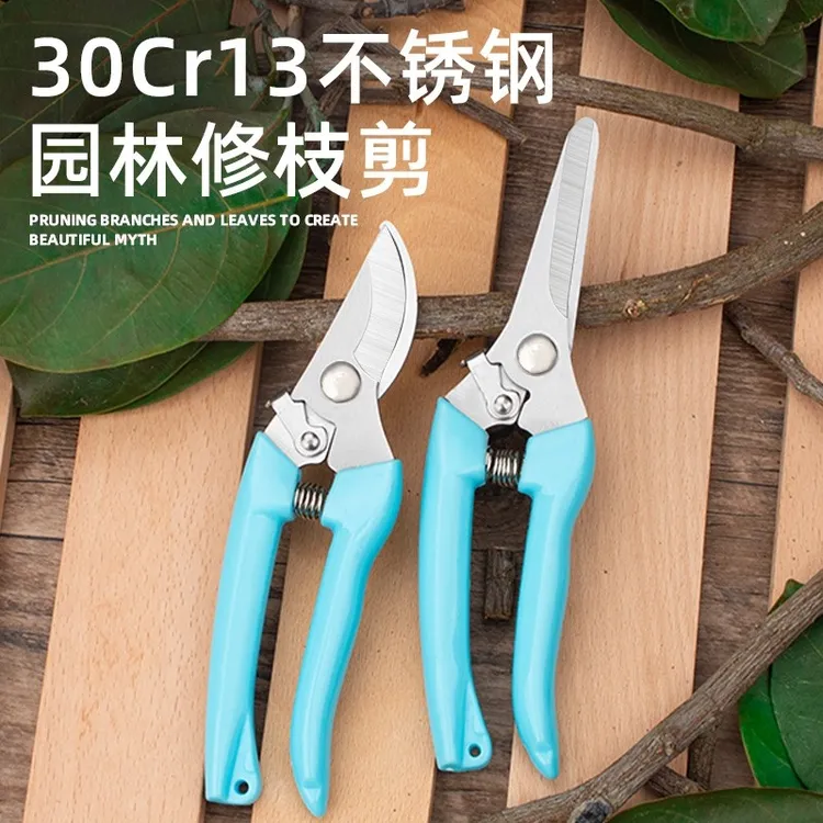 不锈钢剪刀树枝粗枝摘果剪修枝剪花艺剪花椒嫁接省力树剪修花剪子