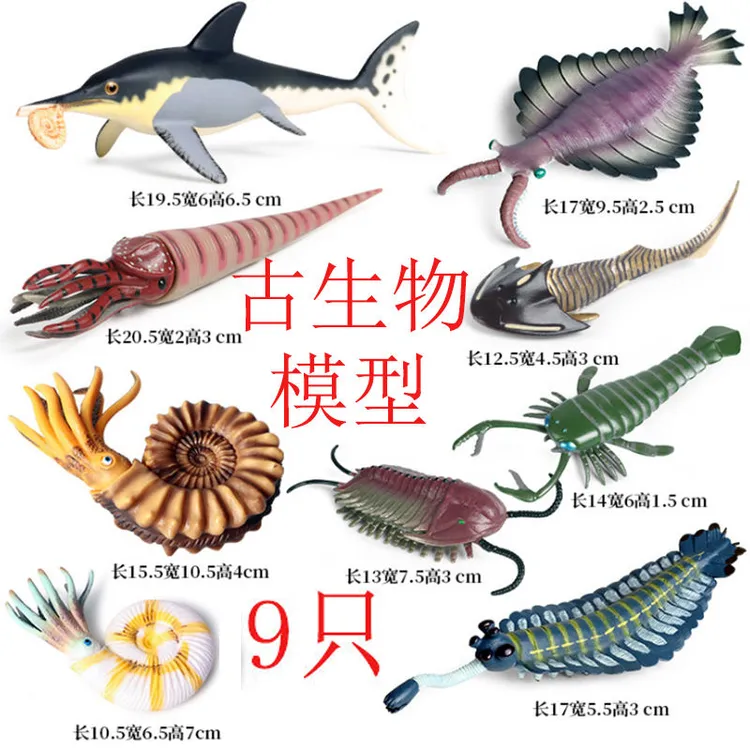 寒武纪儿童玩具套装仿真模型远古海洋动物蝎奇虾菊石三叶虫泥盆纪