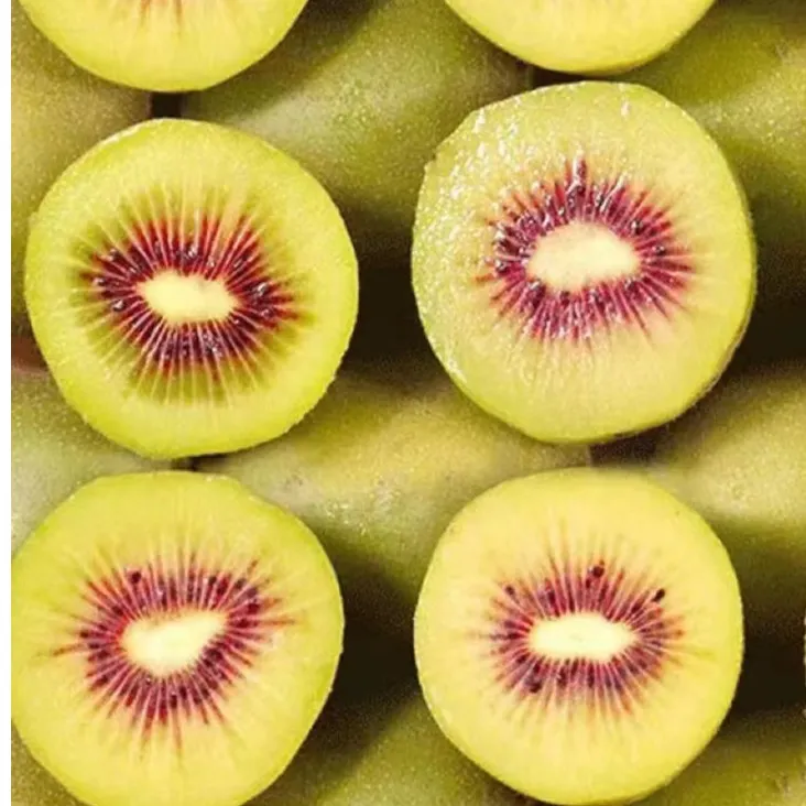 四川红心猕猴桃50-70g鲜甜多汁