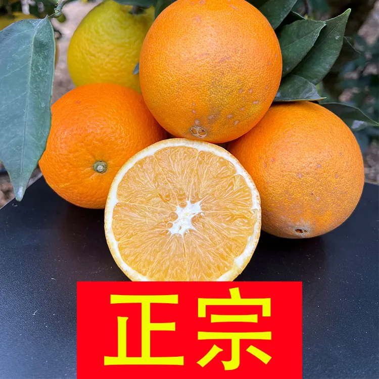 【10斤装】正宗赣南脐橙果径60~90mm生态果新鲜果赣南赣州产地直发
