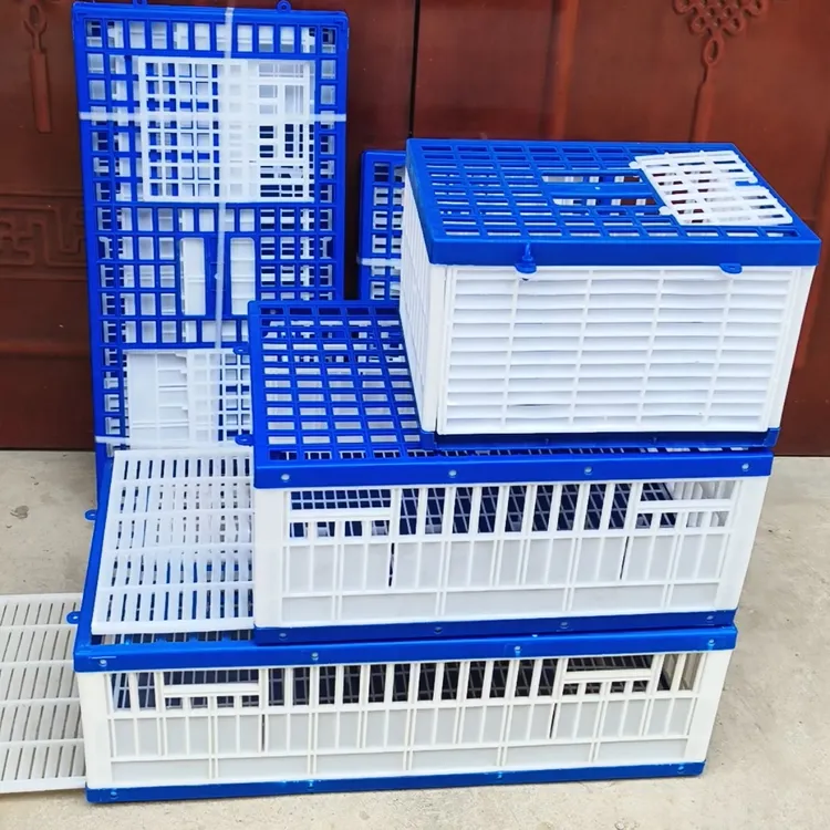 鸽子塑料放飞笼训放笼