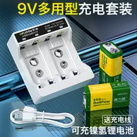 德力普9V锂电充电套装大容量USB智能转灯兼容镍氢锂电万用表话筒