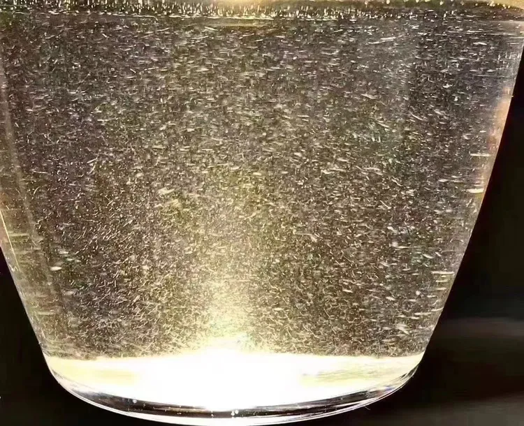 【福鼎白茶】牡丹王 荒野老枞 头春头采 2022年福鼎雪后茶23#