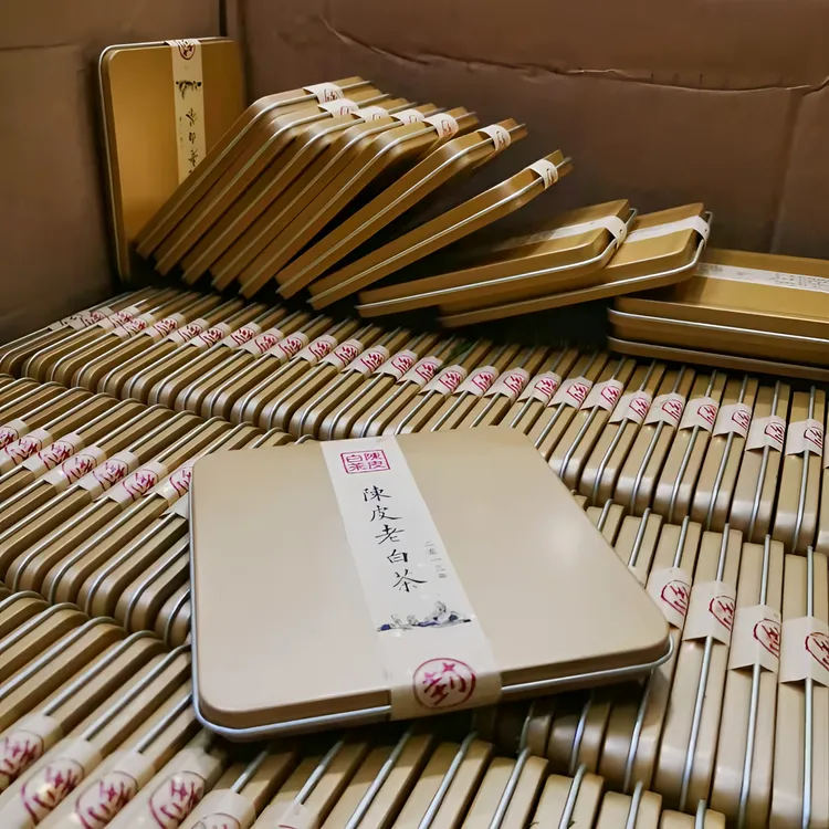 【源头直发】福鼎的白茶陈皮白茶铁盒装6泡福建白茶福利款醇厚顺滑