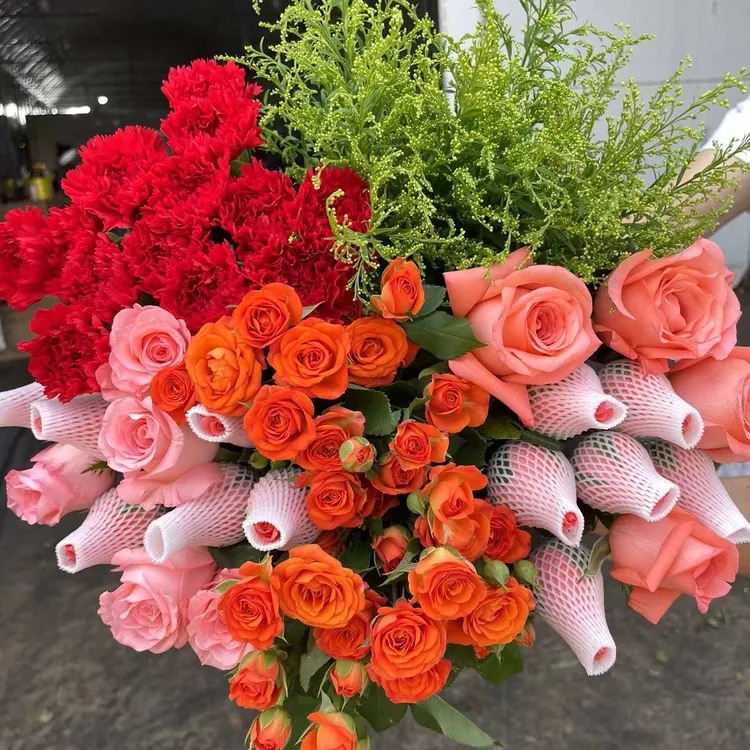 【爆款福利】粉玫瑰10枝+康乃馨10枝+橙色芭比3枝+配草云南昆明鲜花