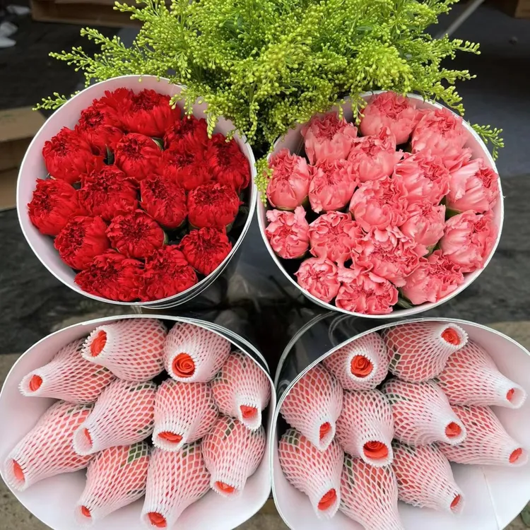 云南昆明基地鲜花 玫瑰百合康乃馨配草云南昆明室内水养花 随机色
