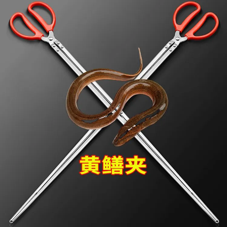 鳝鱼夹泥鳅螃蟹钳子不锈钢黄鳝夹子防滑防脱抓捉专用工具赶海神器