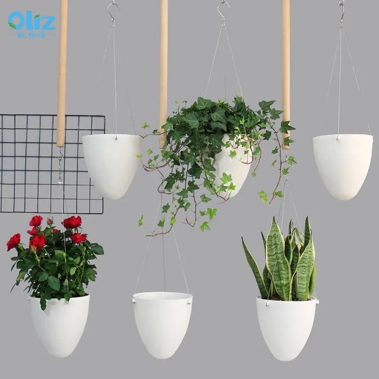 【官方正品】霸王蕨自吸盆北欧清新风实木顶挂吊篮盆吊盆花盆悬挂式