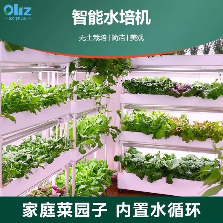 欧林泽智能多层种菜机室内无土栽培蔬菜育苗设备家庭大型种菜机
