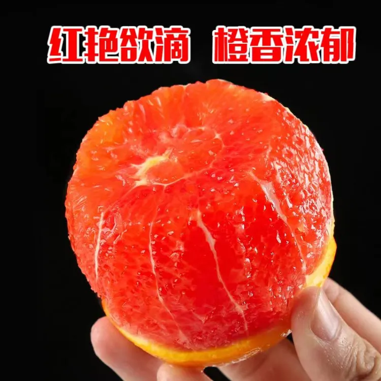 《产地直发 新鲜到家》精选湖北阳光中华红橙新鲜采摘血橙3斤5斤9斤