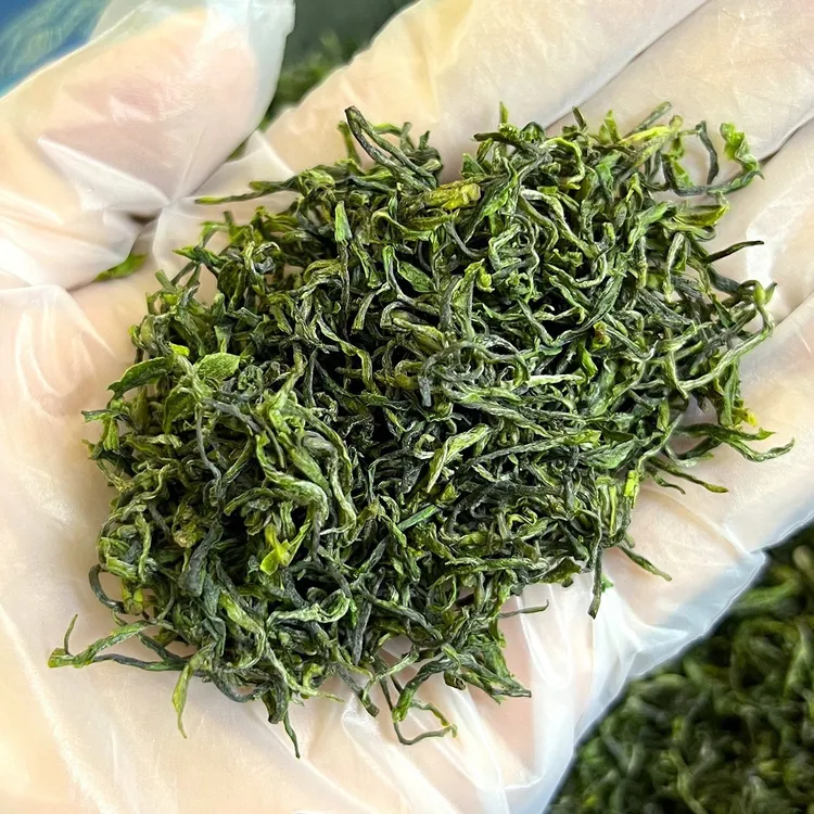 雨前山茶毛尖一品香平利女娲茶清明手工采摘原产地