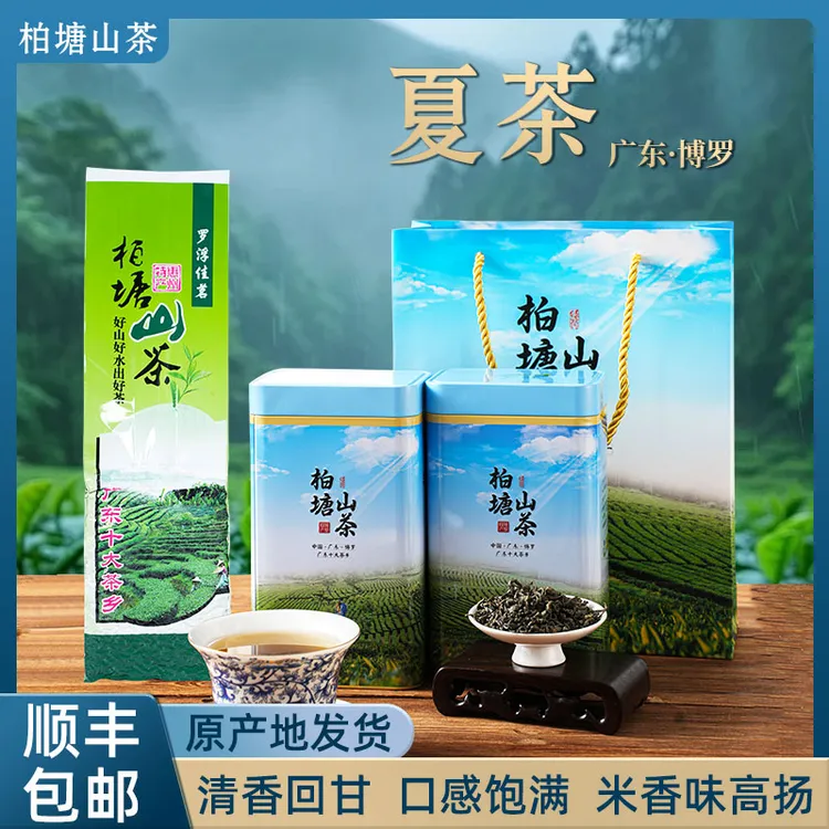 正宗柏塘山茶夏茶茶婆手工炒茶客家炒青绿茶惠州博罗特产