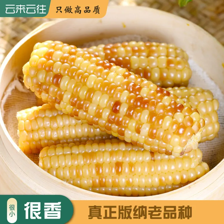 【云南果果】云南西双版纳糯老品种香糯小玉米加热即食零食早餐