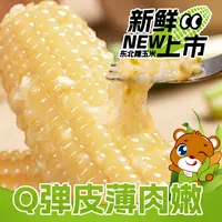 精品有机大白糯8根软嫩大棒多送2根试吃两根3kg/箱