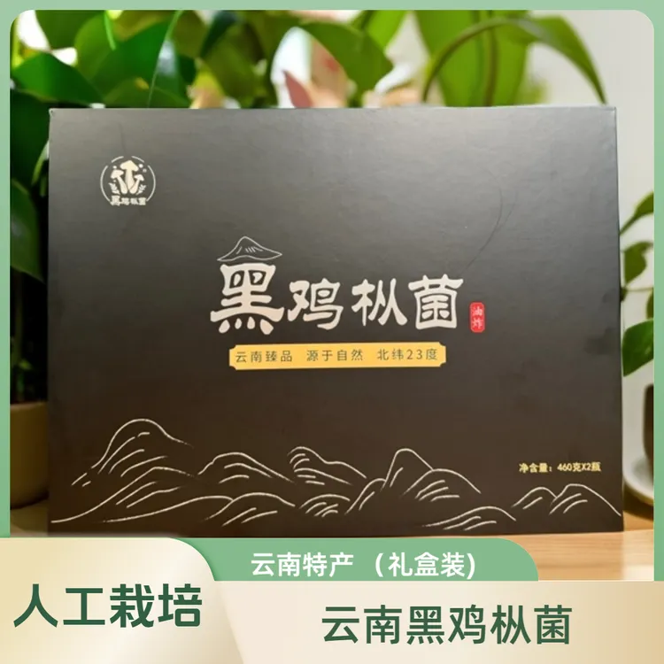 云南蒙自北纬23℃人工种植的黑鸡枞菌460克/2瓶（礼盒装）