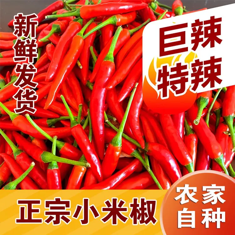 【现摘现发】新鲜香辣小米椒朝天椒小米辣红辣椒剁椒泡椒特辣包邮