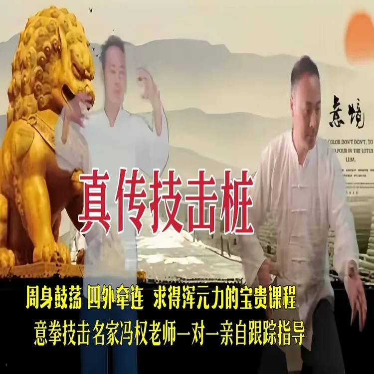 真传技击桩教学课