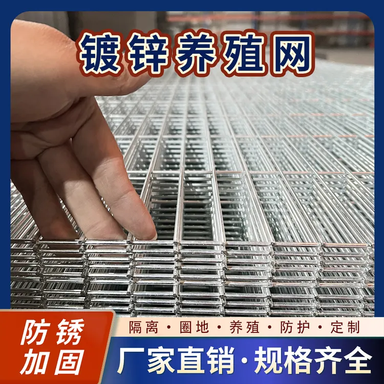1.2X10孔鸟笼鸽舍围网地网 镀锌网片铁丝网 防锈防老鼠麻雀黄鼠狼